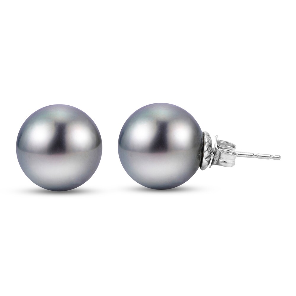 Tahitian Cultured Freshwater Pearl Stud Earrings 14K White Gold 8wiodgew Tahitian Cultured Freshwater Pearl Stud Earrings 14K White Gold 8wiodgew