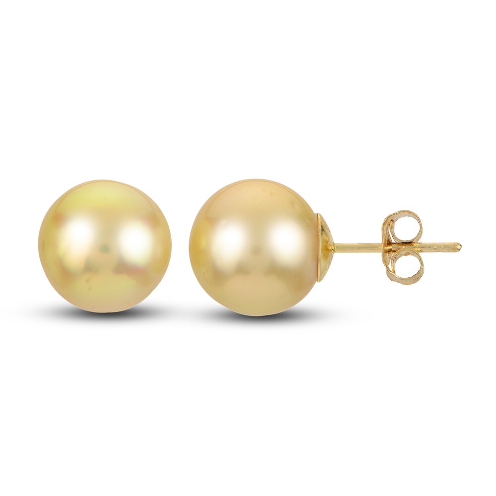 Cultured South Sea Golden Pearl Stud Earrings 14K Yellow Gold PW0tdzvD Cultured South Sea Golden Pearl Stud Earrings 14K Yellow Gold PW0tdzvD