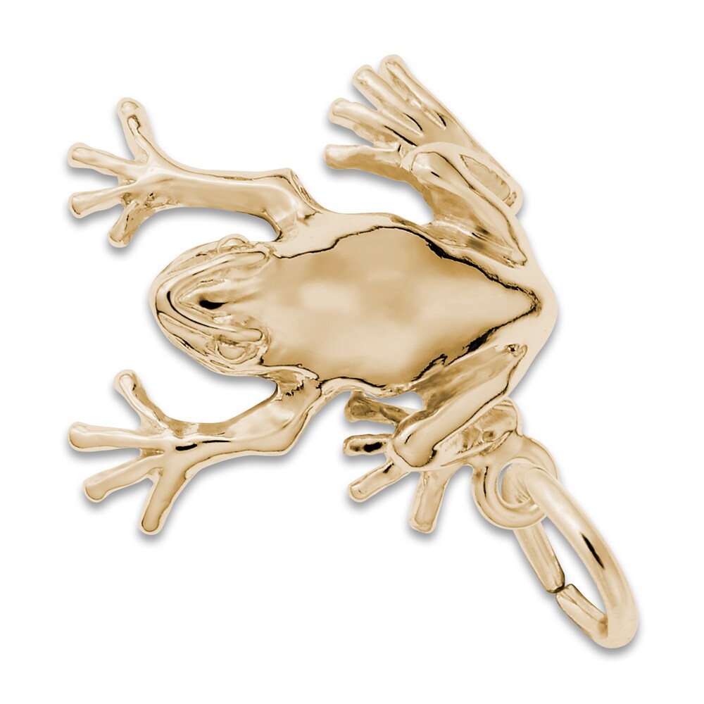 Frog Charm 14K Yellow Gold a6JlLkxn Frog Charm 14K Yellow Gold a6JlLkxn