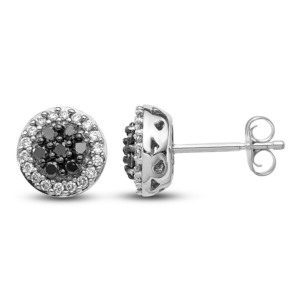 Black & White Diamond Cluster Earrings 1/3 ct tw Round 14K White Gold iNwzQ5ue Black & White Diamond Cluster Earrings 1/3 ct tw Round 14K White Gold iNwzQ5ue