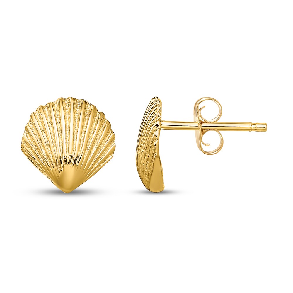 Sea Shell Stud Earrings 14K Yellow Gold mGYw42t6 Sea Shell Stud Earrings 14K Yellow Gold mGYw42t6
