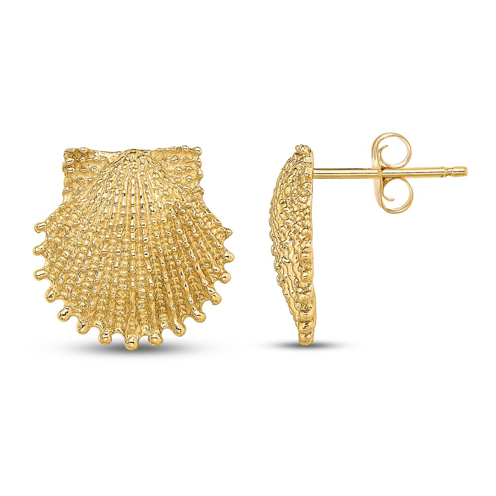 Beaded Scallop Shell Stud Earrings 14K Yellow Gold nPjGiGVW Beaded Scallop Shell Stud Earrings 14K Yellow Gold nPjGiGVW