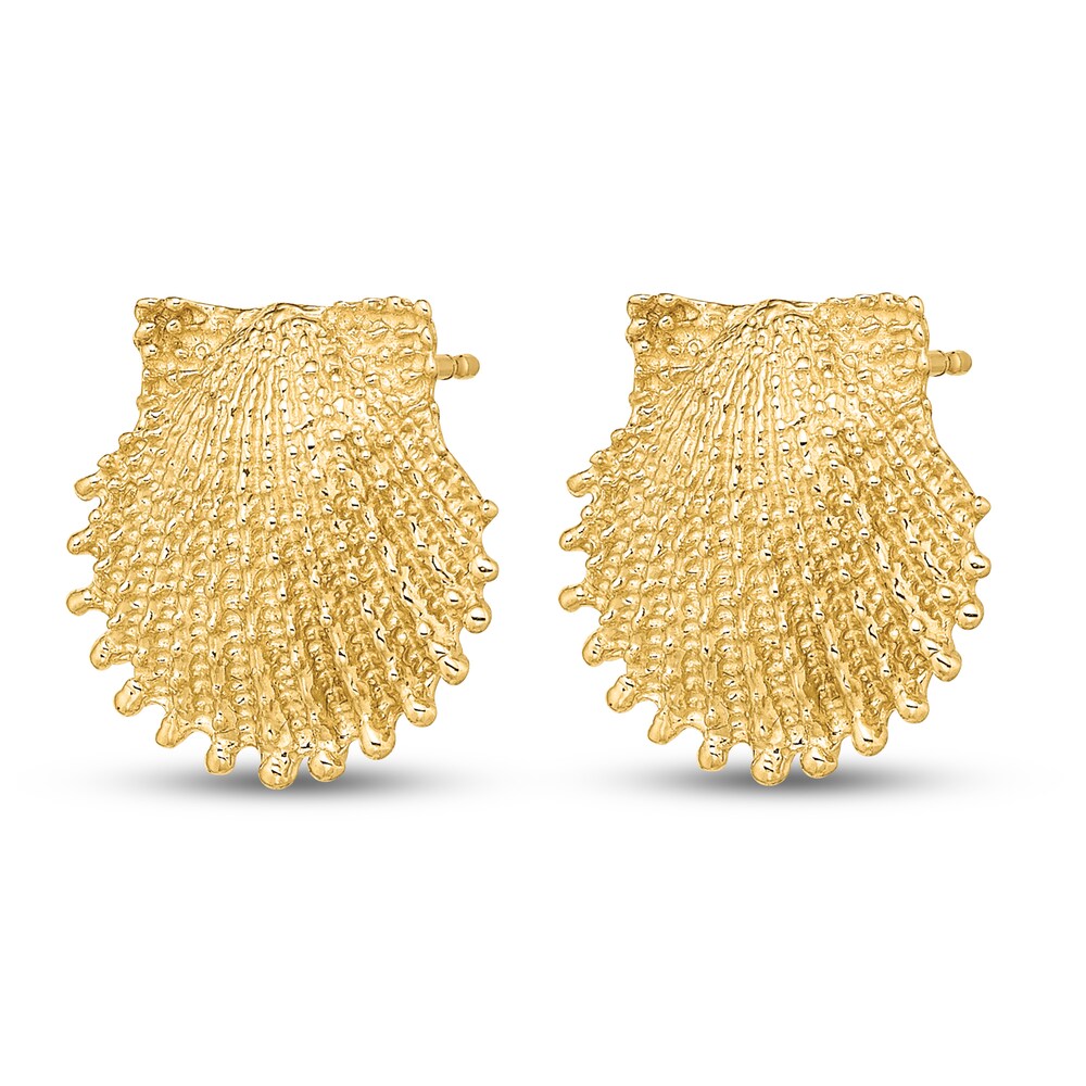 Beaded Scallop Shell Stud Earrings 14K Yellow Gold nPjGiGVW Beaded Scallop Shell Stud Earrings 14K Yellow Gold nPjGiGVW