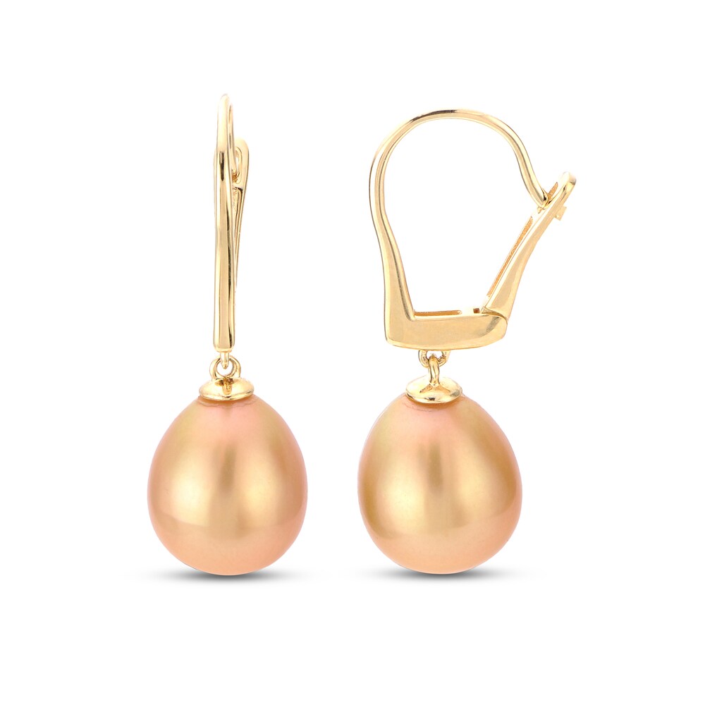 South Sea Golden Cultured Pearl Drop Earrings 14K Yellow Gold r4Cb0QGU South Sea Golden Cultured Pearl Drop Earrings 14K Yellow Gold r4Cb0QGU